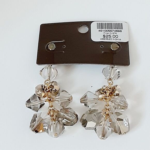 Chico's Fina Cluster Smokey Crystal Bead Dangle Earrings Elegant Cha Cha NWT NEW - Picture 2 of 6
